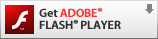 Can't see The Page Download  Flash  for  Free 